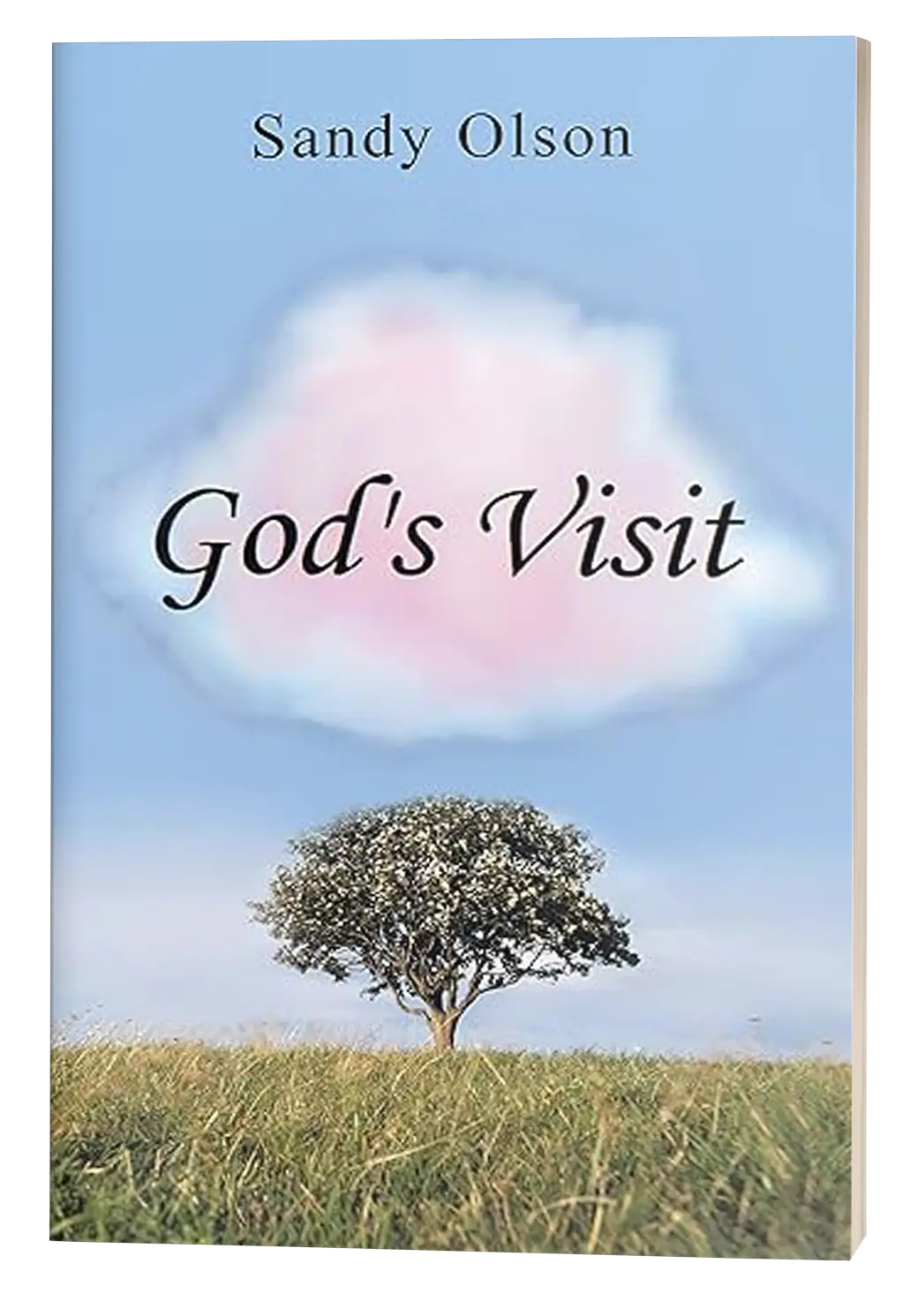 God's visit