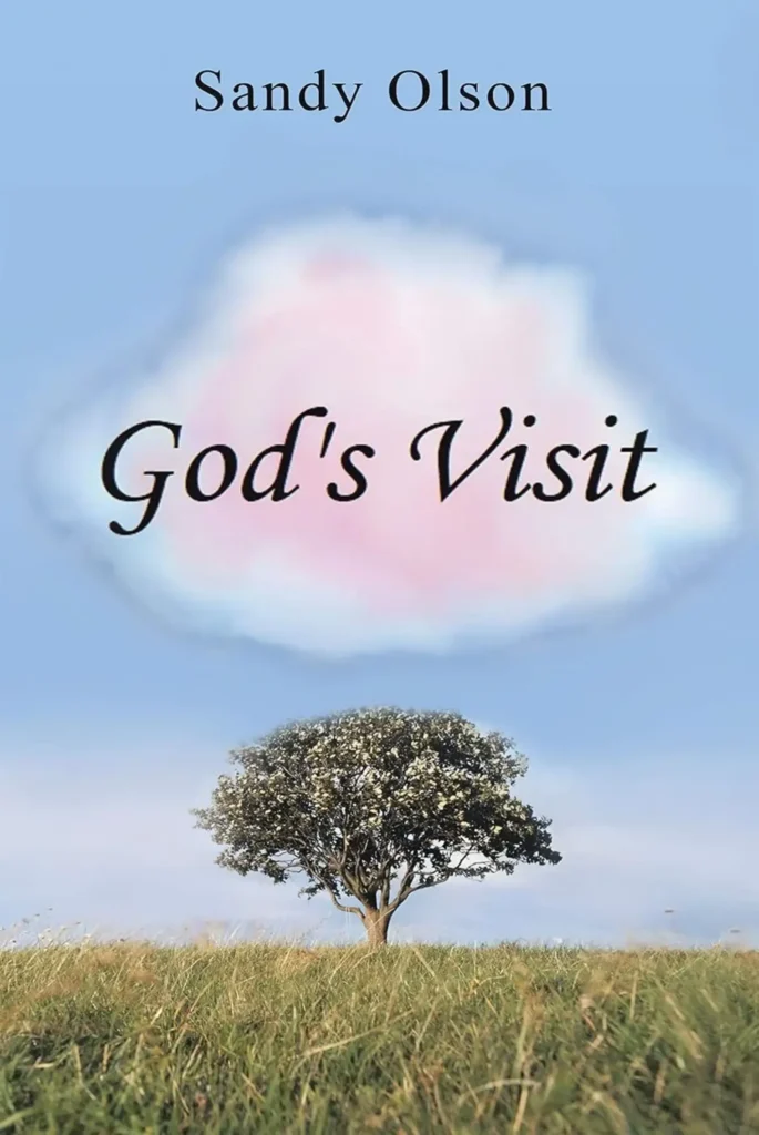 God's Visit - Book Cover