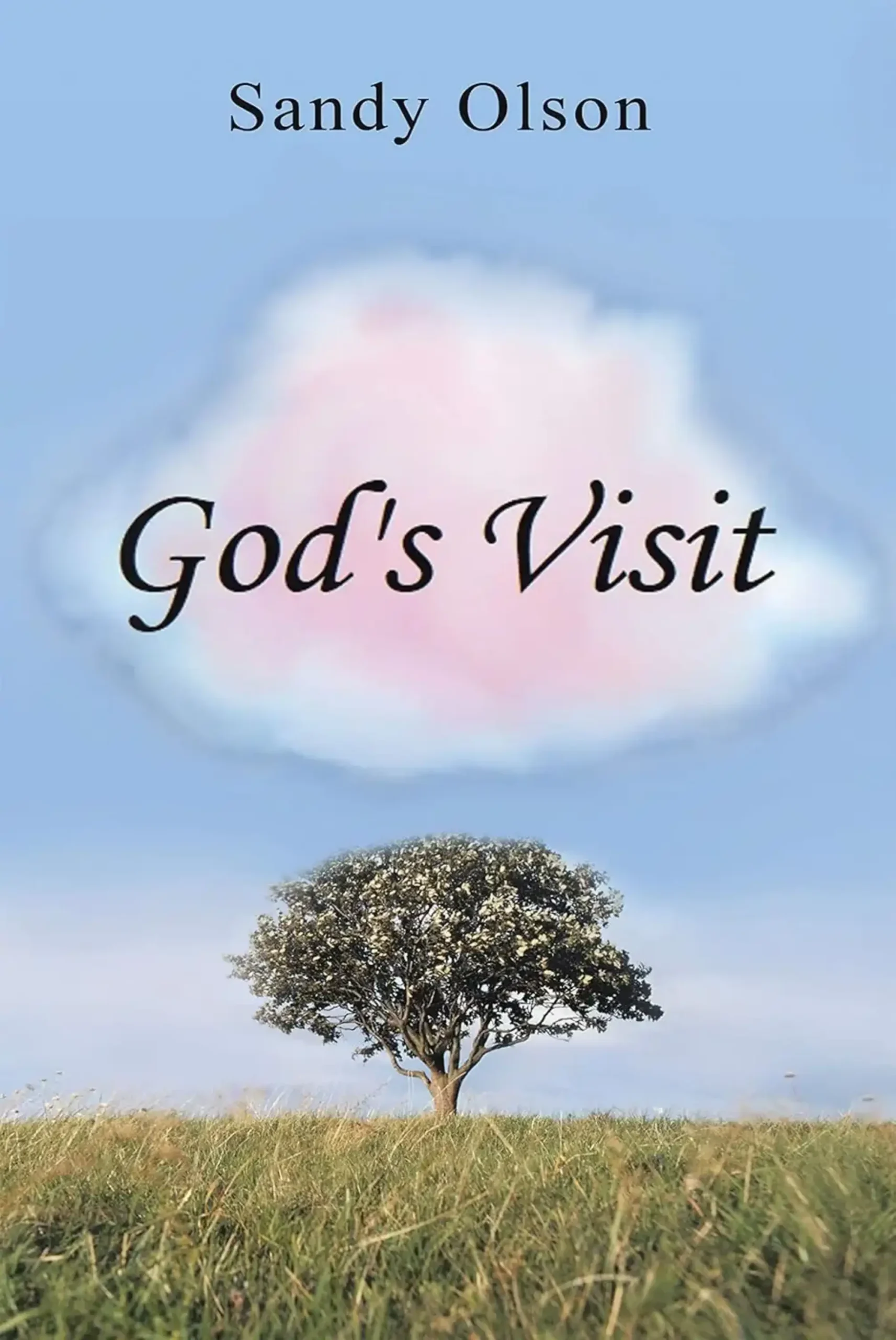 God's Visit - Book Cover
